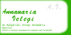 annamaria velegi business card